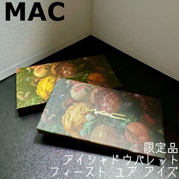 MAC 限定 フィースト ユア アイズ アイシャドウパレット