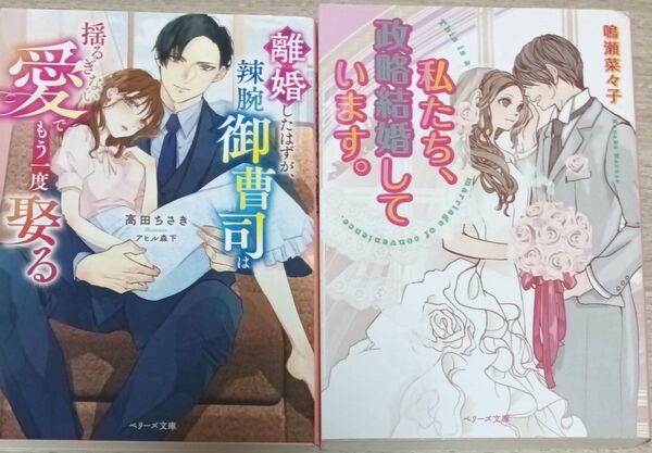 ①離婚したはずが、辣腕御曹司は揺るぎない愛でもう一度娶る ②私たち、政略結婚しています。(ベリーズ文庫)2冊セット