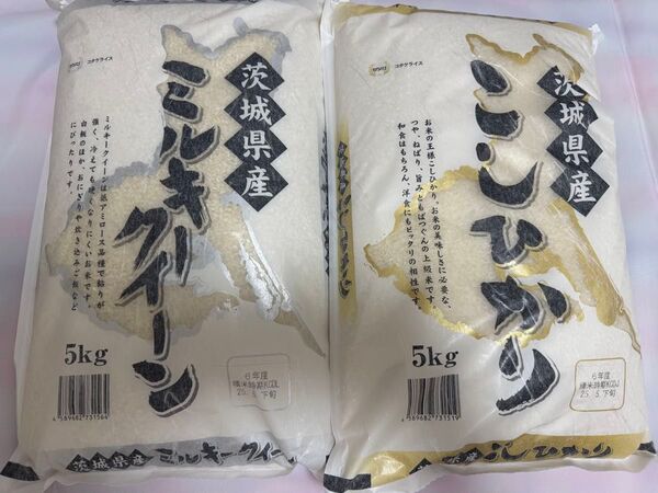 茨城産新米・精米10KG(ミルキークイーン&こしひかり)
