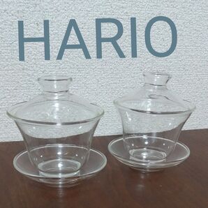 ハリオ 蓋付き茶器 ガラス
