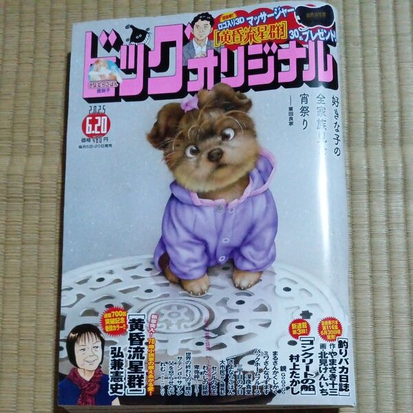 ビッグコミックオリジナル 2025年12号 6月20日号 (小学館)
