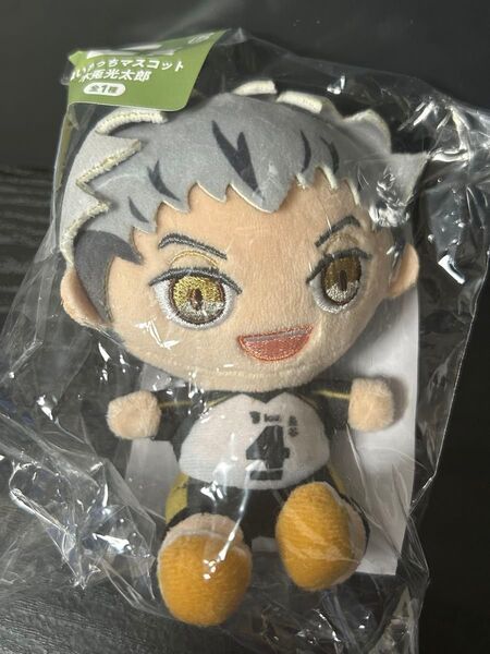 ハイキュー ぬいもっちマスコット E賞 木兎光太郎