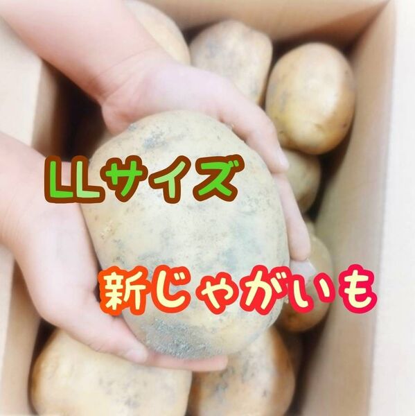 新ジャガイモ