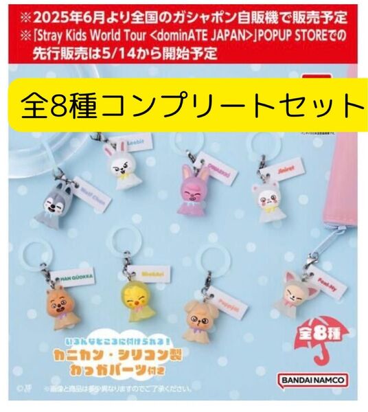 【コンプリートセット】SKZOO めじるしアクセサリー 8種セット スキズ Stray Kids カプセルトイ 1