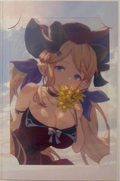 ハレゼナ 2025 バレンタイン お返し グラブル 色紙 ポストカード グランブルーファンタジー 手紙 ポラロイド