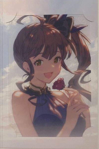ディアンサ 2025 バレンタイン お返し グラブル 色紙 ポストカード グランブルーファンタジー 手紙 ポラロイド
