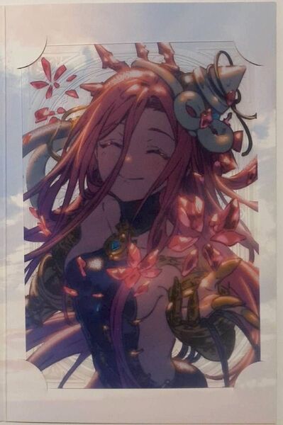ヤチマ 2025 バレンタイン お返し グラブル 色紙 ポストカード グランブルーファンタジー 手紙 ポラロイド
