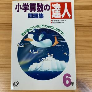 「小学算数の達人問題集 ６年」