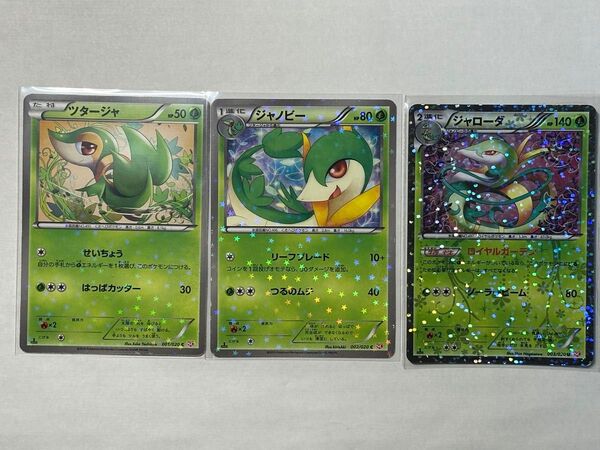 ポケモンカードゲーム SC ツタージャ ジャノビー ジャローダ 1ED BW コンセプトパック シャイニーコレクション