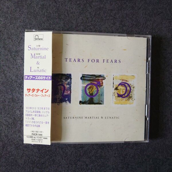 国内盤 ティアーズ・フォー・フィアーズ CD/サタナイン 帯付き 極美品