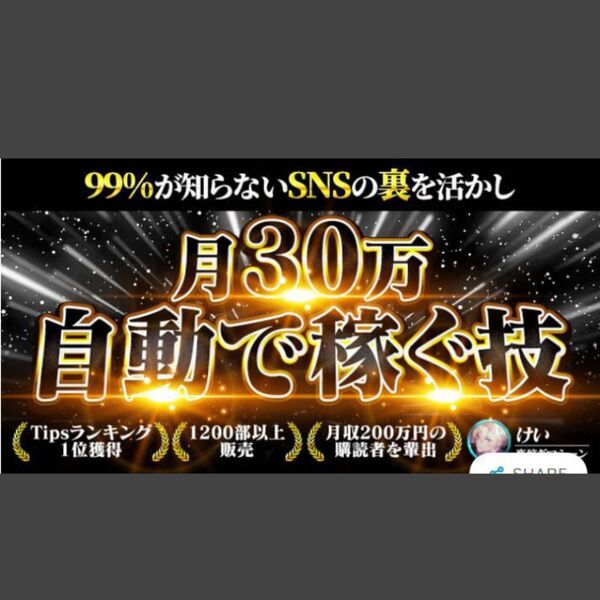 ★【1500部突破】★【裏世界】99%の人が知らないSNSの裏事情を活かして自動で稼ぐ方法:裏SNS★定価52000円★