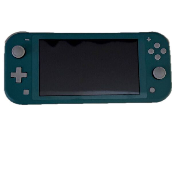 Nintendo Switch ニンテンドースイッチ ブルー