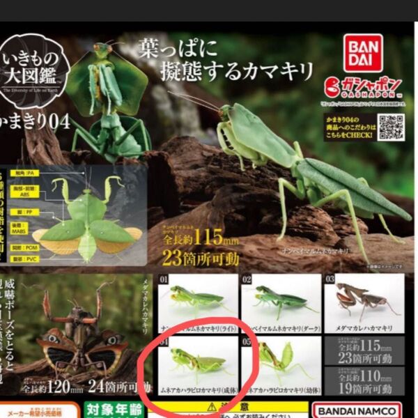 【新品未開封】 BANDAI いきもの大図鑑 かまきり04 カマキリ アドバンス フィギュア ガチャガチャ カプセルトイ