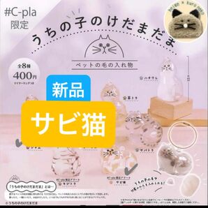 うちの子のけだまだま カプセルトイ ガチャガチャ ガチャ 猫 ノーマル 茶トラ
