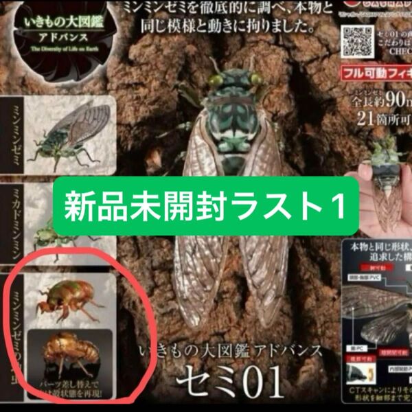 【新品未開封】いきもの大図鑑アドバンス セミ BANDAI バンダイ フィギュア ガチャガチャ ガラポン ガチャポン