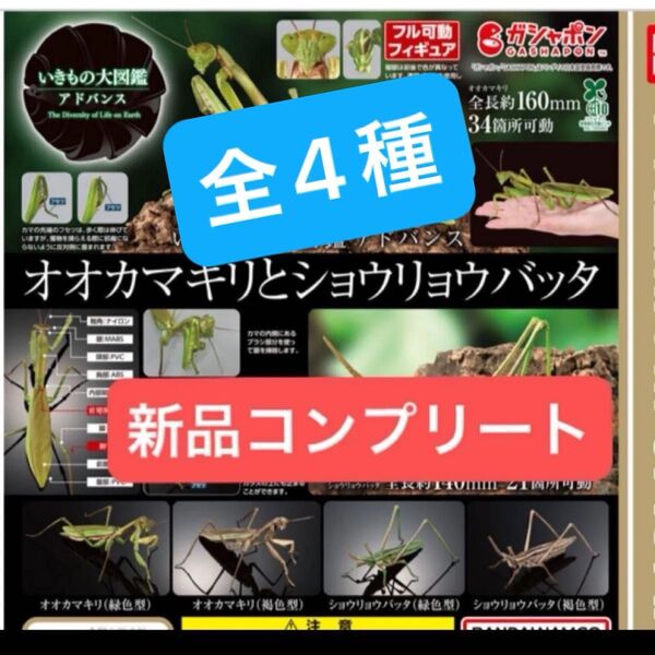 【新品コンプリート】いきもの大図鑑アドバンス フィギュア オオカマキリとショウリョウバッタ ガチャガチャ BANDAI