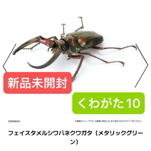 【新品未開封】いきもの大図鑑 くわがた10 昆虫 クワガタ フィギュア バンダイ ガチャガチャ カプセルトイ BANDAI