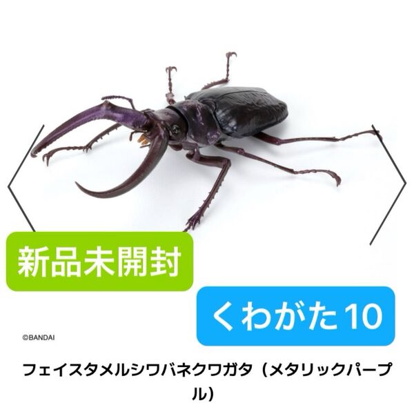 【新品未開封】いきもの大図鑑 くわがた10 昆虫 クワガタ フィギュア バンダイ ガチャガチャ カプセルトイ BANDAI