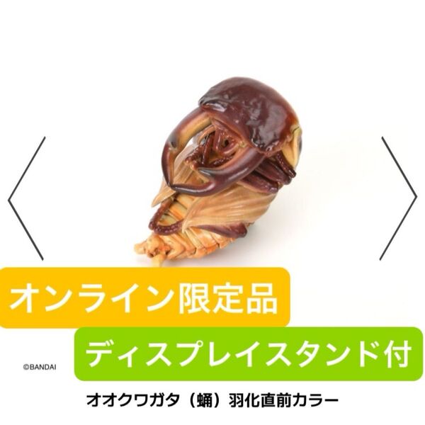 【新品未開封】いきもの大図鑑 くわがた10 昆虫 クワガタ フィギュア バンダイ ガチャガチャ カプセルトイ BANDAI