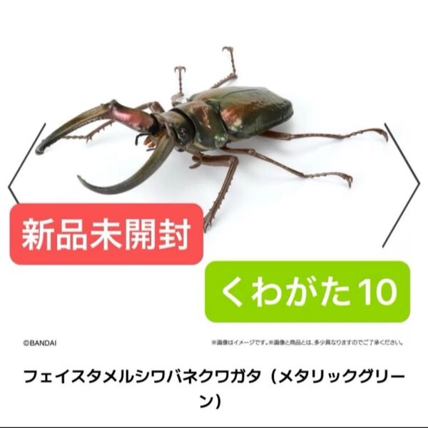 いきもの大図鑑 くわがた10 BANDAI フィギュア ガシャポン 昆虫 クワガタ アドバンス バンダイ ガチャガチャ