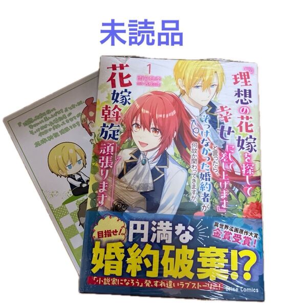 【未読品】理想の花嫁を探して幸せにして差し上げます』と言ったら、そっけなかった婚約者が何故か関わってきますが、花嫁斡旋頑張ります1