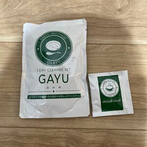 GREEN BROTHERS 1DAY CLEANSE SET GAYU おかゆ VEGGIE SOUP スープ