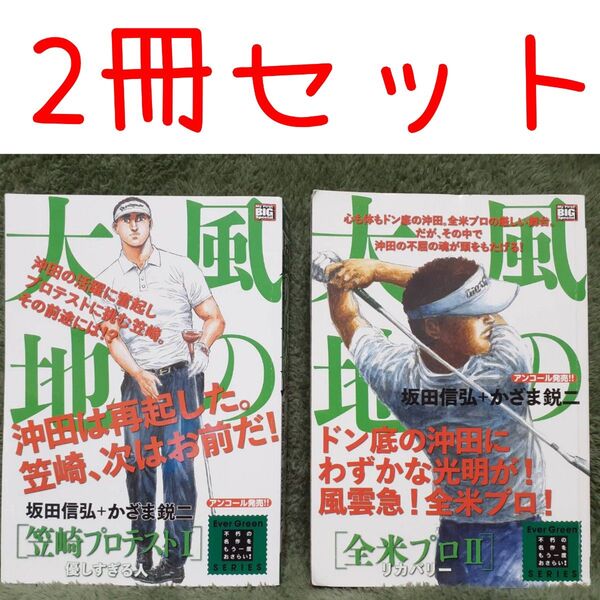 風の大地 全米プロ ①全米プロ 2 リカバリー ②笠崎プロテスト編 1 かざま 鋭二 画My First BIG Special)