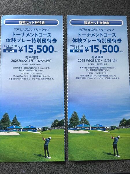 宍戸ヒルズ 割引券 ツアー選手権 1組4名 2枚セット