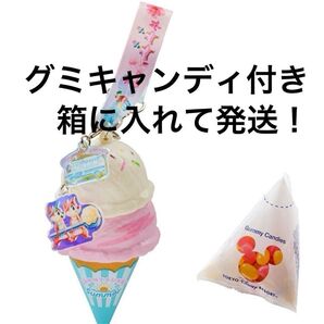 ディズニー サニーサニーサマー スーベニア スナックケース グミキャンディ付き チップとデール アイスクリーム ミニスナックケース