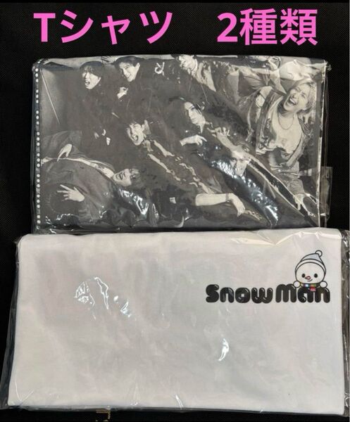 【未開封】SnowMan ロゴver. 肖像 Tシャツ Snow World スノーマン 2種 白 国立 日産