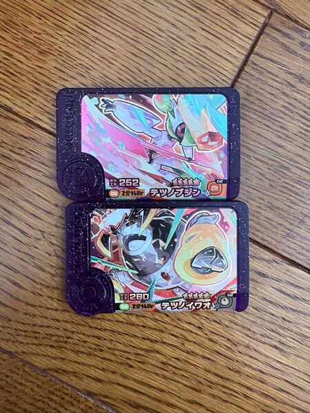 ポケモンフレンダ スーパートレジャー ポケモン フレンダ テツノブジン テツノイワオ