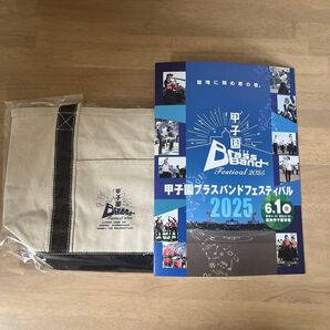 甲子園ブラスバンドフェスティバル2025