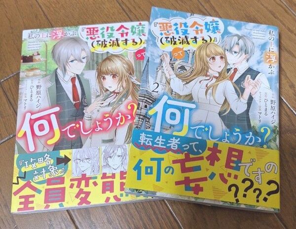 私の上に浮かぶ『悪役令嬢〈破滅する〉』って何でしょうか? 2 冊セット