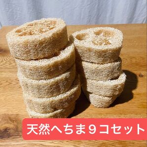 未使用◎天然ヘチマスポンジ9つセット