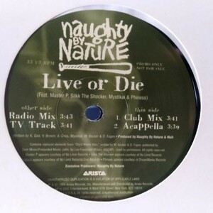 12inchレコード　 NAUGHTY BY NATURE / LIVE OR DIE