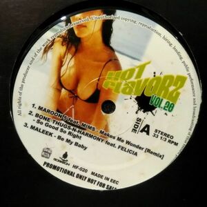 12inchレコード　 V.A. / HOT FLAVORZ VOL.20