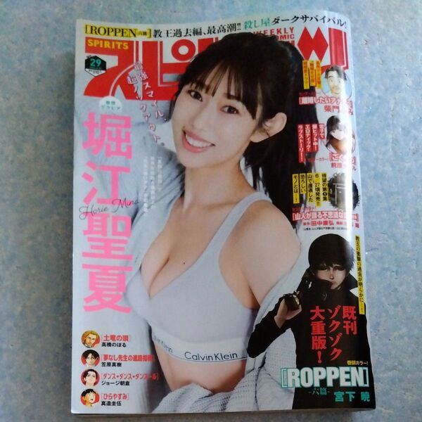 ビッグコミックスピリッツ 2025年6月30日号 (小学館)NO.29 応募券無し