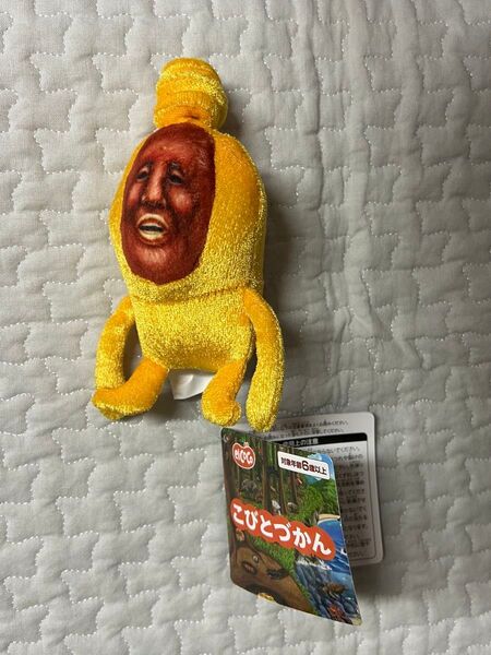 こびとずかん ココぎゅっと!ますこっとぬいぐるみ タカラコガネ