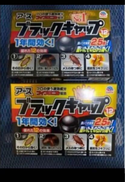 食いつき抜群2.5倍タイプ アース ブラックキャップ12個 2点セット ゴキブリ対策 30日以内に購入した最新の品
