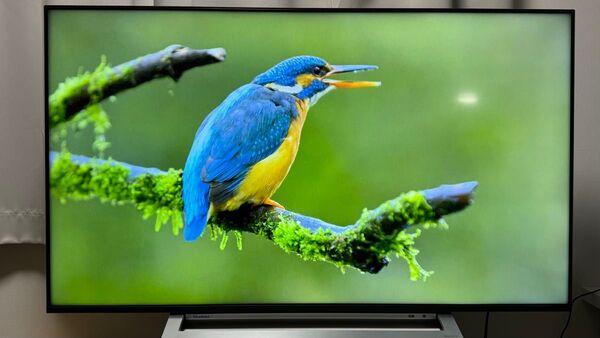 4K液晶テレビ 東芝 REGZA レグザ 50M540X 50V型 50インチ