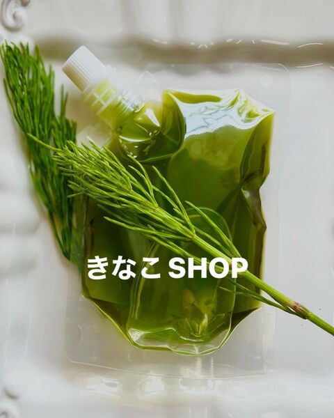 100ml【スギナオイル】スギナオイル 野草 オーガニック 農薬不使用 薬草 無添加 無着色 太白胡麻油 オイル 詰め替え用
