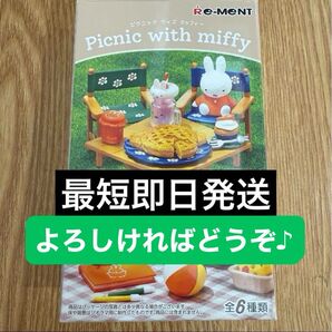 ⑥遊んだ後はひと休み ピクニックウィズミッフィー リーメント 椅子なし