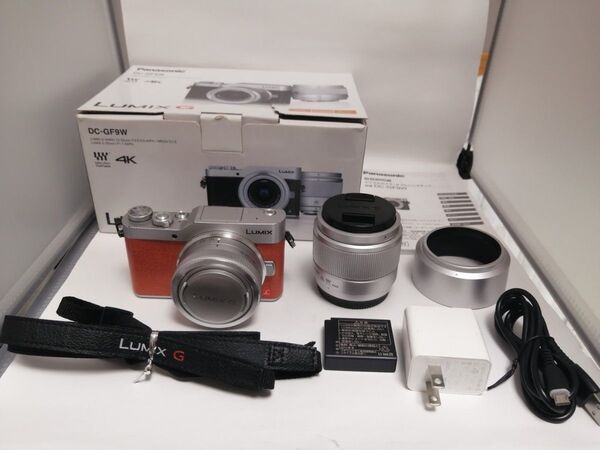 美品 人気モデル Panasonic DC−GF9W