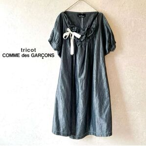 tricot COMME des GARCONS シャイニーリボンワンピース ギャザーフレア