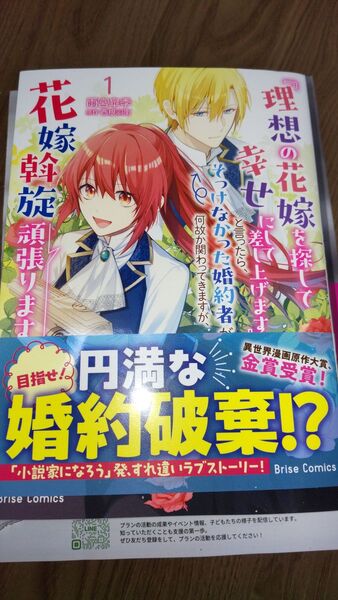 『理想の花嫁を探して幸せにして差し上げます』と言ったら、そっけなかった婚約者が何故か関わってきますが、花嫁斡旋頑張ります1
