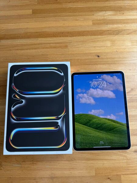 iPad Pro (M4) 11インチ Wi-Fi + Cellular 512GB シルバー★ほぼ未使用・美品★