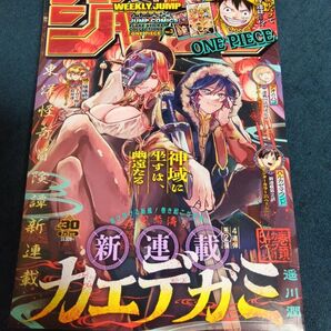 ※ジャンプチケットラリー応募券切り取り済み!! 週刊少年ジャンプ 2025年7月7日号 (集英社)