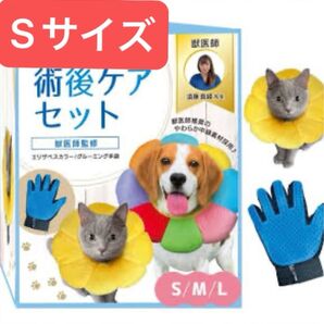 エリザベスカラー 術後ケアセット 獣医監修 グルーミング手袋 犬 猫 ペット用品