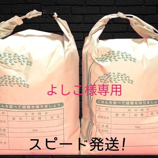 令和6年福井県産新米ミルキークイーン玄米10kg⇒精米