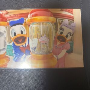 東京ディズニーリゾート ドナルド&デイジー グリーティングカード
